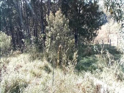 Terreno para venda em Morada do Bosque