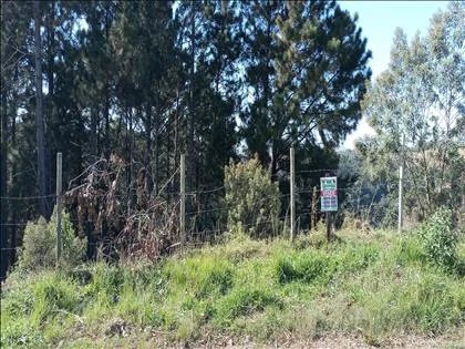 Terreno para venda em Morada do Bosque