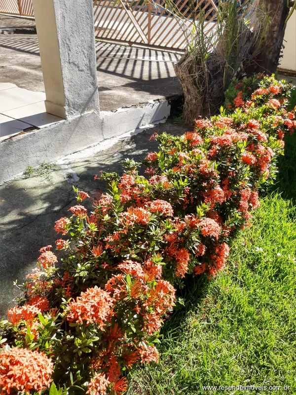 Foto 2 de 53 - Casa para venda em Morada da Colina