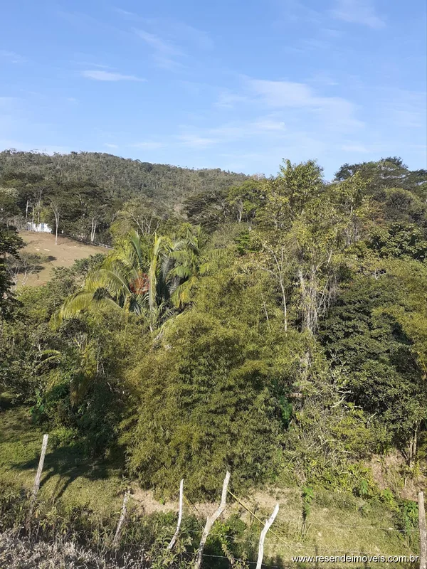 Foto 5 de 12 - Sítio para venda em Centro