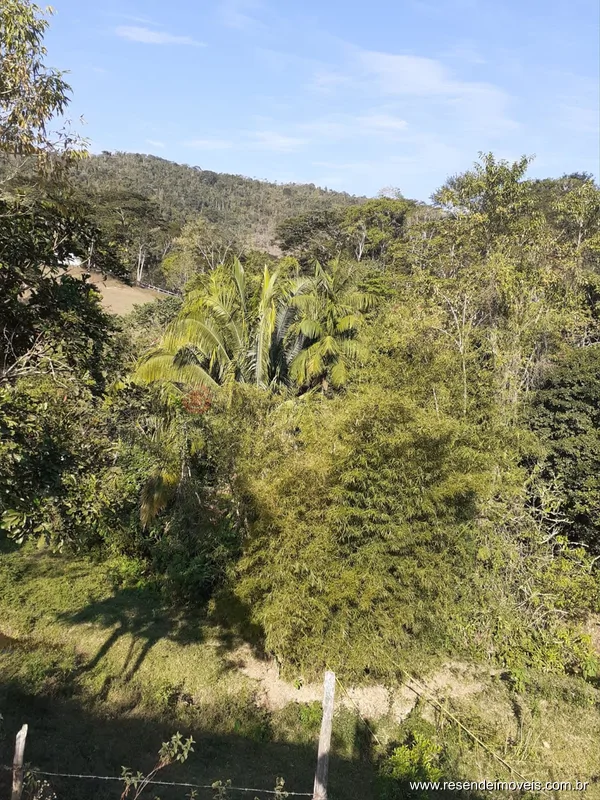 Foto 4 de 12 - Sítio para venda em Centro