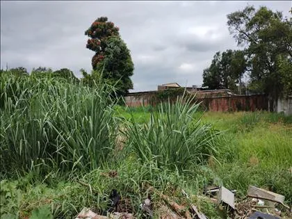 Terreno para venda em Itapuca - Imobiliária Marisa Imoveis