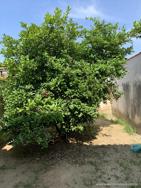 Foto 6 de 8 - Casa para venda em Nova Alegria