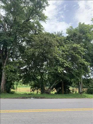 Terreno para venda em Comercial - Imobiliária Real Imobiliária