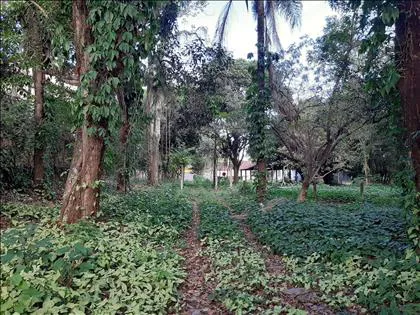 Terreno para venda em Jardim Brasília II - Imobiliária Imobiliária 3JS