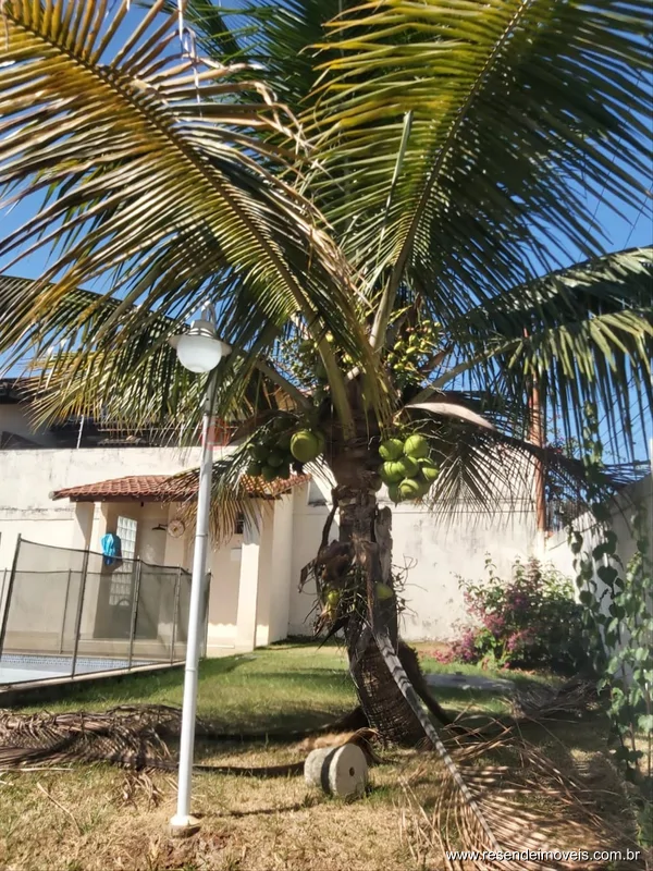 Foto 4 de 37 - Casa para venda em Parque Ipiranga