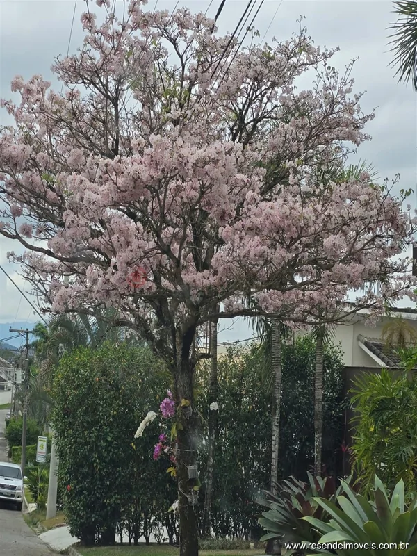 Foto 39 de 40 - Casa em condomínio para venda e aluguel em Morada da Colina